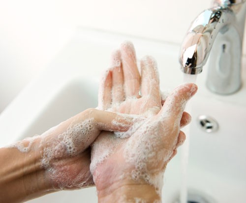 Vệ sinh sạch sẽ là cách tốt nhất để ngăn ngừa bệnh.